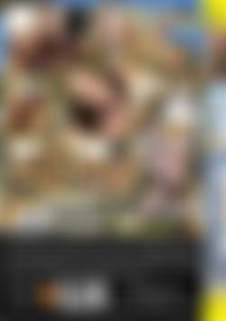 Mallorca Star-Connection back cover