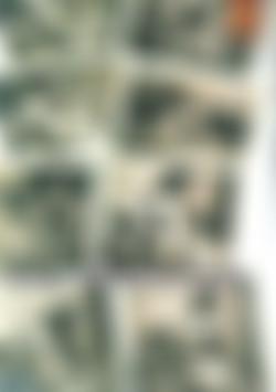 Sexy Submissives back cover