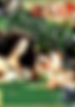 And The Envelope Please: Cassidey front cover