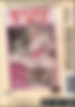 Bitches In Heat Vol. 11 back cover