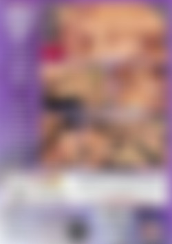 2 Cocks in the Same Hole back cover