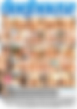 Real Naughty Couples Vol. 6 back cover