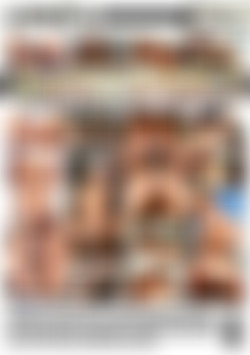 Threesomes Interracial Style back cover