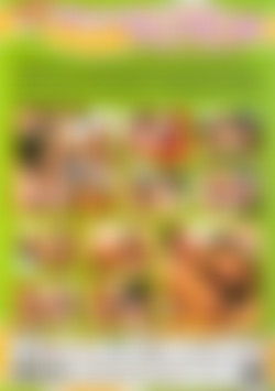 Sweethearts Porn Tour 12 back cover