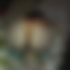 ! [2009 ., Blowjob, All Sex, Doggystyle, Hairy, CamRip] thumb