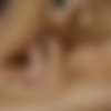 [WowGirls.com] Sasha Rose, Tequila, Vincent Vega (Fucking Two Lezzies) [2019-09-20, Russian Girls,  , Threesome, FFM, Lesbian, Blowjob, Cunnilingus, Deepthroat, Fingering, Oral Sex, Shaved, Voyeur, Young] thumb