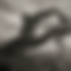 Volo - Nude Art thumbnail