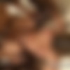 [Transexualfun.com] Black Dude Fucks a Shemale [2016, Shemale hardcore, 720p] thumbnail