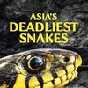 Asias Deadliest Snakes 2010 1080p WEB h264-HONOR thumb