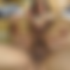 [JoeySilvera.com / EvilAngel.com] Yasmin Pires (The Next She-Male Idol 4, Scene 4 / 07.03.12 / 9805 04) [2012 ., Anal, Blowjob, Big Ass, Big Tits, Cum shots, Shemale, Tranny, Hardcore] thumb