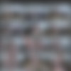 [Bisex]   Video Codec: 