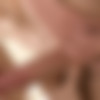 [BelAmiOnline.com] (10158) Condom Free: Billy Montague, Aldo Belucci [2015 ., Anal Sex, Bareback, Blowjob, Cumshot, Facial, Kissing, Masturbation, Muscles, Rimming, Tattoos, Twinks, Uncut. , 816p/1080p] thumb