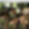 [Staxus.com] Double-Dipping Fuck-Buddies Give Johny Cruz’s Raw Ass-Hole The Stretching Of Its Life! (Johny Cruz, Mike James, Sven Laarson) [2014 ., Anal/Oral, Bareback, DAP, Masturbation, Muscles, Outdoors, Rimming, Tattoos, Threesome, Twinks, 720p] thumb