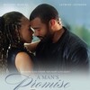 A Mans Promise 2024 1080p WEB-DL DDP2 0 H 264-NoRBiT thumb