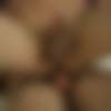 [CFSelect.com/CorbinFisher.com] CFS0372 - Hunter & Ashton's Morning Fuck [2013 ., Anal Sex, Bareback, Blowjob, Cumshots, Facial, Flip-Flop, Hardcore, Kissing, Muscles, Masturbation, Tattoos., 720p] thumb