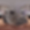 [18VR.com] Penny Park - Pounding Penny [28.04.2025, Babe, Big Tits, Blowjob, Brunette, Cowgirl, Cum In Mouth, Doggy Style, Missionary, Reverse Cowgirl, Titty Fuck, Virtual Reality, SideBySide, 8K, 4096p, SiteRip] [Oculus Rift / Quest 2 / Vive] thumb