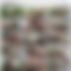 [BreedMeRaw.com] Tyler Reed and Aarin Asker [2015 ., Anal/Oral Sex, Masturbation, Cumshots, Tattoos, Muscle, Bareback, 1080p] thumb