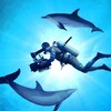 Diving with Dolphins [2020] / H264 / MKV / WEB / 1080p / AC3 / Subs thumb