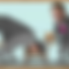 [LatinaSexTapes.com / Mofos.com] Keisha Grey (Too Hot To Handle / 30.09.13) [2013 ., lingerie, cumshot, facial, blowjob, brunette] thumbnail