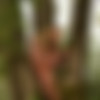 :  4 / Galitsin Photos: Part 4 - ()[6737 ] thumb