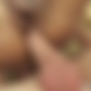 [TransErotica.com] Amy / Amazing Anal With Amy (17 Jul 2016) [2016 ., Ladyboy, Transsexual, Hardcore, Anal, Bareback, 720p, SiteRip] thumb