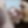 [IKnowThatGirl.com / Mofos.com] Elsa Jean, Valentina Nappi (Valentina Nappi's Teen on a Leash / 30.11.2015) [Couples Fantasies, Sex, Threesome, Deep Throat, 69, Doggystyle, Cowgirl, 720p, HDRip] thumb