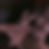 [JoyBear.com] Belle O’Hara & Eva Ray - Primal Scream (03.03.22) [2022 ., Lesbians, Toy, 1080p] thumbnail