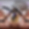 [TmwVRnet.com / TeenMegaWorld.net] Milka A (Beautiful And Excited) [2025 ., Hardcore, Russian, All Sex, VR, 180°, 7k, 3584p] [Oculus Rift / Vive] thumb