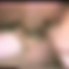 Summer Beach House /     (Gourmet Video) [1980 ., Feature, Classic, VHSRip] (Danielle, Gloria Leonard, Blake Palmer, Becky Savage, Hillary Summers, Ray Wells) thumb