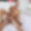 [LadyBoyPlay.com] Patty / Pounding Patty (27 Oct 2017) [2017 ., Shemale, Hardcore, Anal, Bareback, 720p, SiteRip] thumbnail