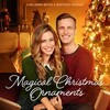 Der magische Weihnachtsschmuck 2017 German DL 1080p HDTV x264-NORETAiL thumb