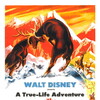 The Olympic Elk [1952] / 1080p / WEB / H264 / AAC / Subs / MKV / Eskiya thumb