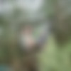 [SexyOnes.com / ClubSeventeen.com] Simone K (Simone Fucked In A Treehouse / 03.09.2013) [Blowjobs, Brunettes, Cum Shot, Hand Jobs, Hardcore, Outdoor, Shaved, Young Teens, 1080p, HDRip] thumbnail