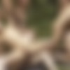 [LucasEntertainment.com] 11-Man Fire Island Bareback Orgy (Part 01) (Alexander Volkov, Andrey Vic, Drake Masters, Drew Dixon, Ian Frost, Jackson Radiz, Manuel Skye, Max Adonis, Max Arion, Ruslan Angelo, Shane Jackson) / LVP327-01 Fire Island Sex Party, scene 1 [2019 ., Anal, Bareback, Group, Blowjob, Uncut, Outdoors, Rimming, Ass to Mouth, Fisting, Cumshots, 720p] thumb