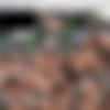 [SeanCody.com] SC-1931 Tanner & Duncan: Bareback [2015 ., Anal, Bareback, Blowjob, Creampie (Internal cumshot), Cumshots, Fingering, Flip-Flop, Kissing, Masturbation, Muscles, Rimming, Tattoos., 720p] thumb