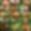 [OiledUpShemales.com / TrannyPack.com] Dany de Castro (Dany de Castro Masturbates / 23.05.2013) [Shemale, Solo, 720p] thumbnail
