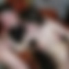 [Bisex]     .   Video Codec [amateur, russian, CamRip] thumb