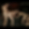 [JizzOrgy.com / Men.com] Thirst Part 4 (Abraham Al Malek, Damien Crosse, Dominique Hansson, Jimmy Fanz, Pierre Fitch) [2015 ., Young Men, Muscle, Anal/Oral Sex, Big Dick, BlowJob, Group, Hairy, Tattoos, umshot, Masturbation, 1080p] thumb