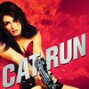 Cat Run [2011] / H264 / MKV / Blu-ray / SD / AC3 / Subs / HANDJOB thumb