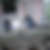 [Pisswc.com / tualet.net ]      -  280,281,282,283 [2022 ., Peeing, Shit, Voyeur, SiteRip] thumbnail