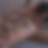[Str8ToGay.com / Men.com] Home Wrecker Part 1 (Chris Harder, Jarec Wentworth) [2015 ., Anal/Oral Sex, Cumshots, Muscles, Tattoos, Piercing, Rimming, Facial, 720p] thumb