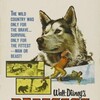 Nikki, Wild Dog of the North 1961 NTSC DVD 480p ReMuX MPEG-2 DD 2 0-RFX thumb