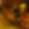 [2011 ., Anal Sex, Homemade, Oral Sex, CamRip] thumb