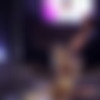 [DigitalPlayground.com] Alix Lynx, Ash Hollywood, Dahlia Sky, Eva Lovia, Karter Foxx, Nikki Benz, Piper Perri, Sadie Santana, Veronica Vain (Season 2 - Auditions Part 5 / 14.12.2015) [Toy, Big Tits Worship, Lesbian, Strip Tease, 1080p, HDRip] thumb