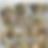[Transsex] Blonde Glog (ShemaleHardcoreMovies.com) [2009 ., Transsex, SheMale, SiteRip] thumb