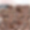 [CorbinFisher.com] Sharing Jordan [19.10.2022., Bisexual, Bareback, Oral/Anal Sex, Vaginal Sex, Threesome, Hardcore, Cumshots,.1080p,HDRip] thumb