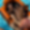 [SeanCody.com] SC-2489 Landon & Jackson: Bareback [2018 ., Anal Sex, Bareback, Big Dicks, Blowjob, Cumshots, Interracial, Kissing, Masturbation, Muscles, Tattoos, Uncut., 720p] thumb