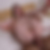 [Legalporno.com / PornBox.com / VG] Margo Von Teese - Huge Cock Destroy Ass 19Yo Margo Von Teese With Gape And Anal Creampie VG272 (25.10.2023) [2023 ., Anal, Teen, Gonzo, Hardcore, 480p] thumb