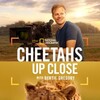 Cheetahs Up Close with Bertie Gregory 2026 720p WEB H264-SHIIIT thumb