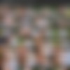 [BigBootyTGirls.com] Gia Itzel / Outdoor Booty Banging (bbtg192) (21-04-2022) [2022 ., Transsexuals, Shemale, Anal, Blowjob, Big Tits, Bubble Butt, Cumshot, Hardcore, 720p, SiteRip] thumb